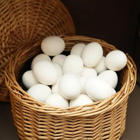 佛恩豪塞霍夫酒店