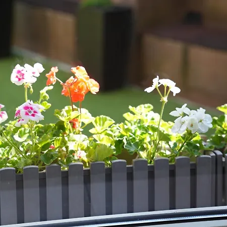 酒店 佛恩豪塞霍夫酒店 埃森