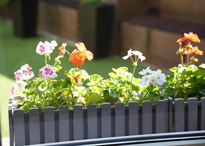 Ξενοδοχείο Frohnhauser Hof Έσσεν